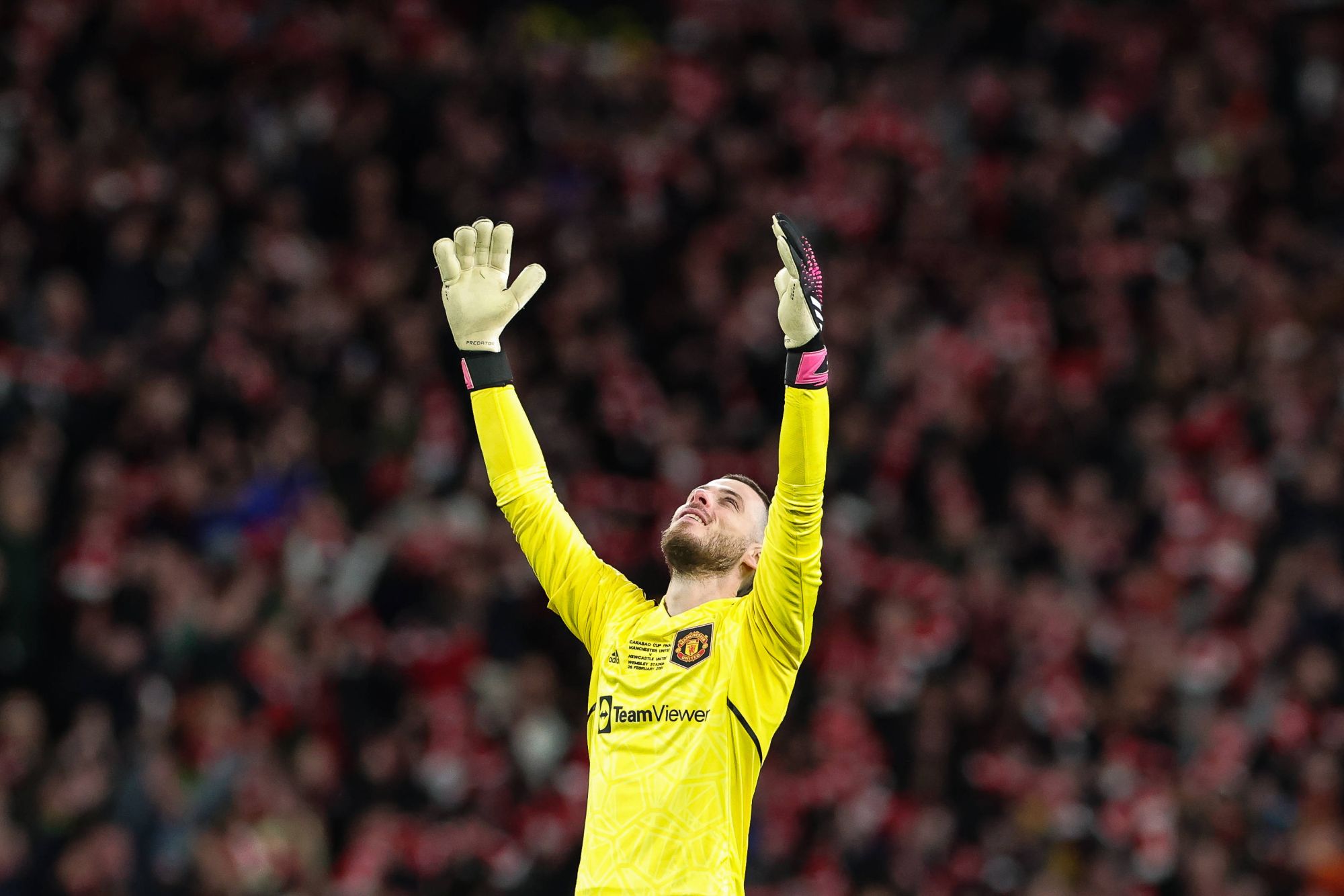 IMAGO/Mark Cosgrove/News Images/www.imago-images.de/globallookpress.com